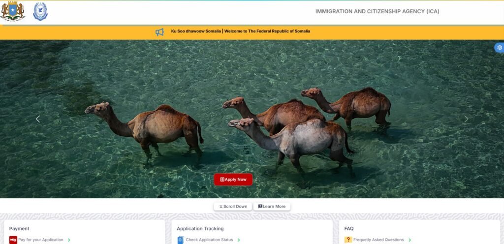 How to Apply for a Somalia eTA in 2025: A Step-by-Step Guide