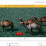 how to apply somalia eta etas.gov.so - etasomalia.com