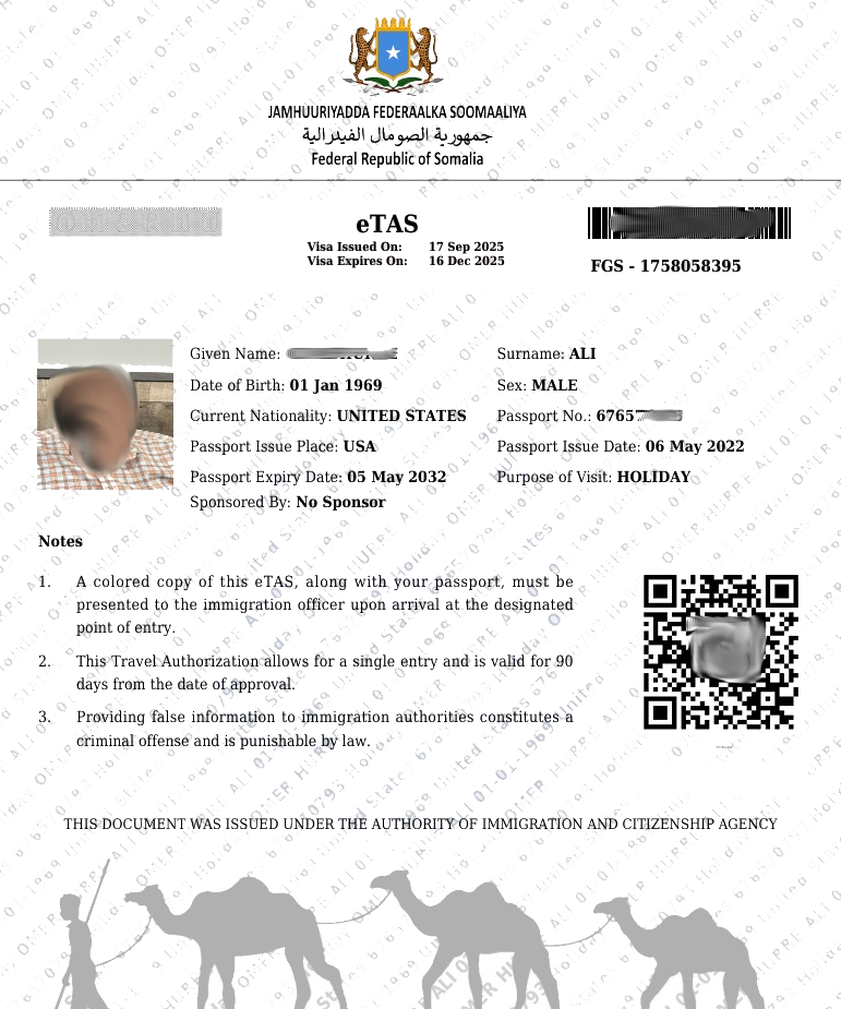 Example of approved Somalia eTA document